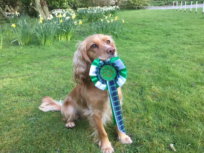 Hula with her rosette